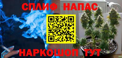 наркотики Пугачёв