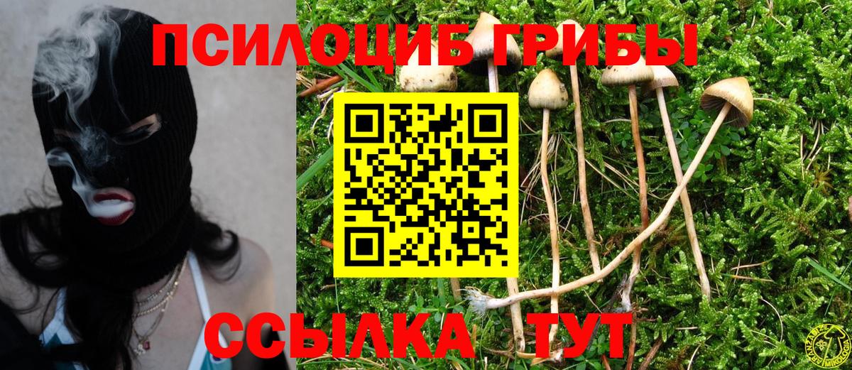 Рассказово  Галлюциногенные грибы Magic Shrooms  Вход с VPN 